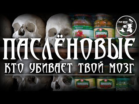 🍅ПАСЛЁНОВЫЕ🍅/ Кто убивает твой мозг?!!!☠️