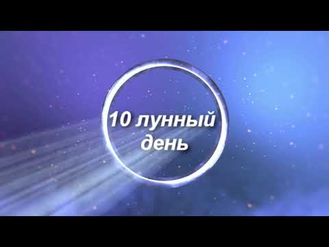 10 лунные сутки