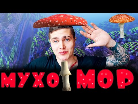 Принимал МУХОМОР 30 ДНЕЙ [ЭКСПЕРИМЕНТ] | МИКРОДОЗИНГ | СИЛА, Тревожность, Проблемы со сном