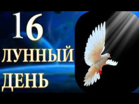 16 лунный день.